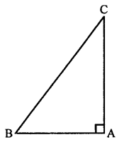 Selina Concise Mathematics Class 7 ICSE Solutions Chapter 16 Pythagoras Theorem Q5