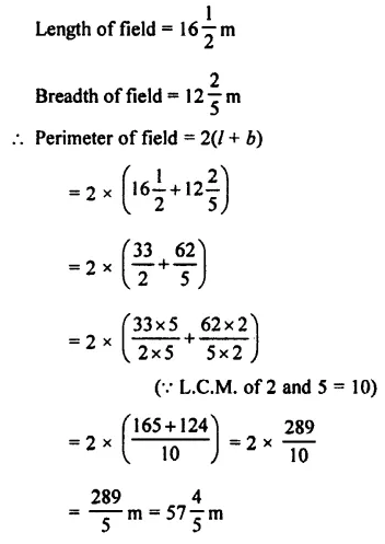 Selina Concise Mathematics Class 7 ICSE Solutions Chapter 3 Fractions (Including Problems) Ex 3C 48