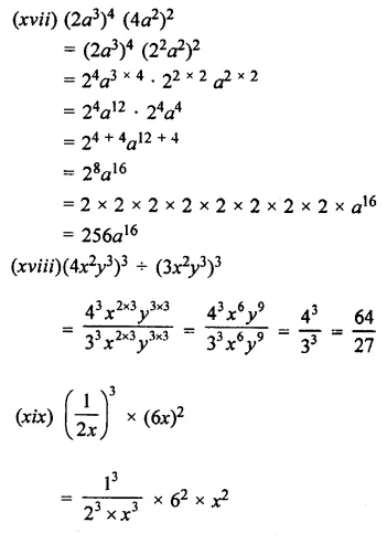 Selina Concise Mathematics Class 7 ICSE Solutions Chapter 5 Exponents (Including Laws of Exponents) Ex 5B 22