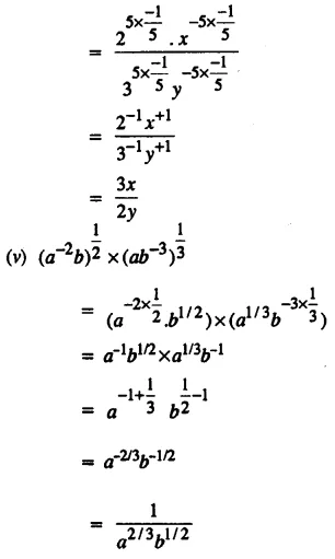 Selina Concise Mathematics Class 8 ICSE Solutions Chapter 2 Exponents (Powers) EX 2B 32