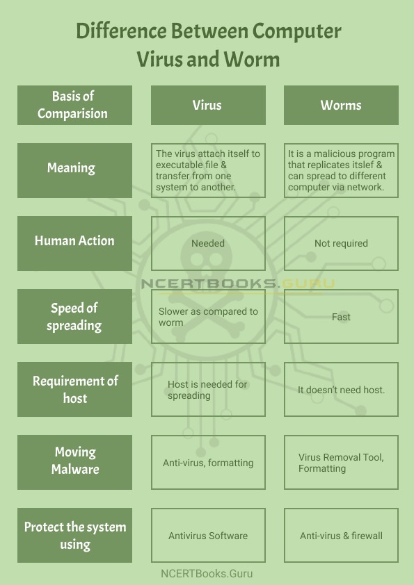 Difference Between Computer Virus and Worm 1