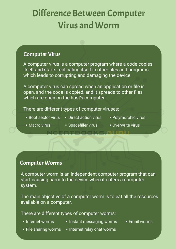 Difference Between Computer Virus and Worm 2