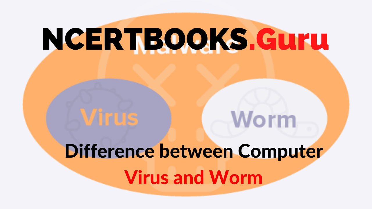 Difference Between Computer Virus and Worm