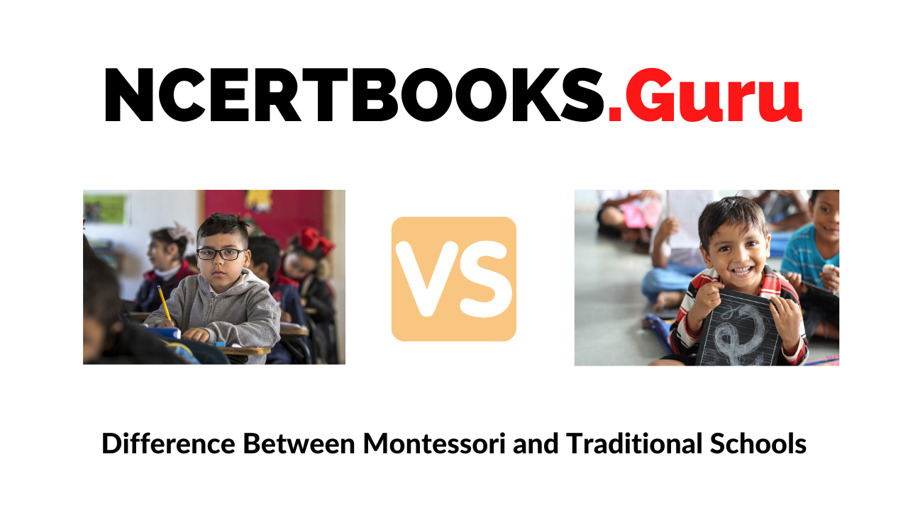 Difference Between Montessori and Traditional Schools