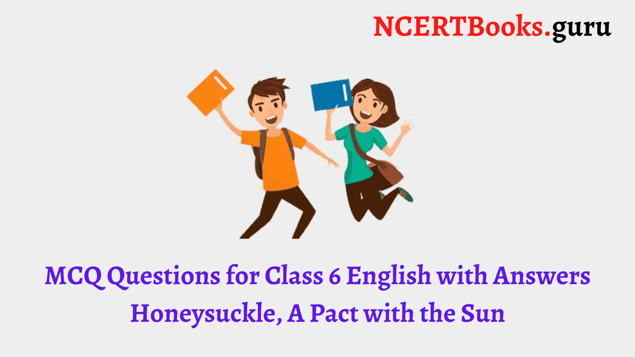 MCQ Questions for Class 6 English with Answers