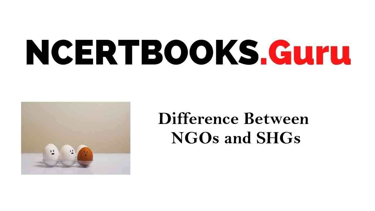 Difference Between NGOs and SHGs