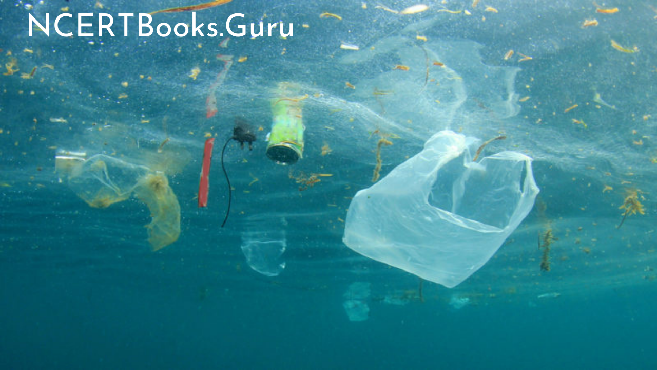 10 Lines on Say No to Plastic Bags for Students and Children in English NCERT Books