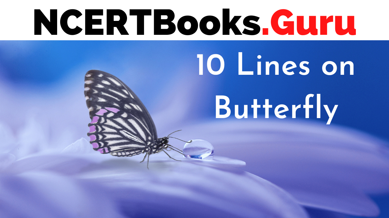 10 Lines on Butterfly