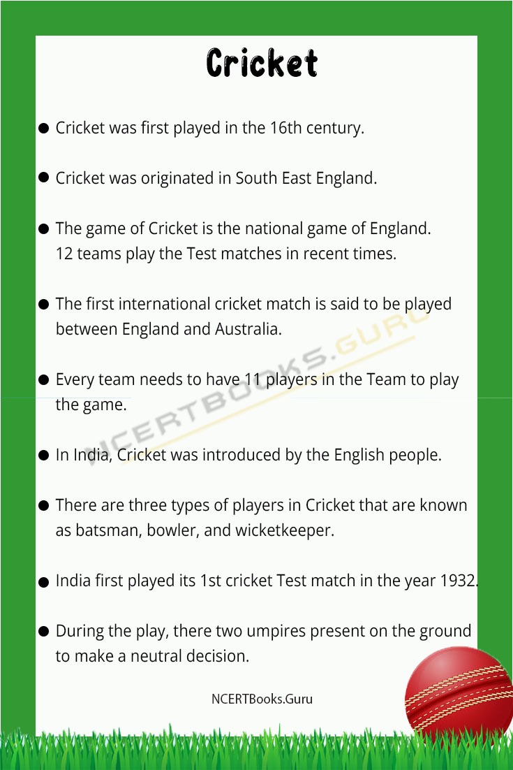 10 Lines on Cricket 1