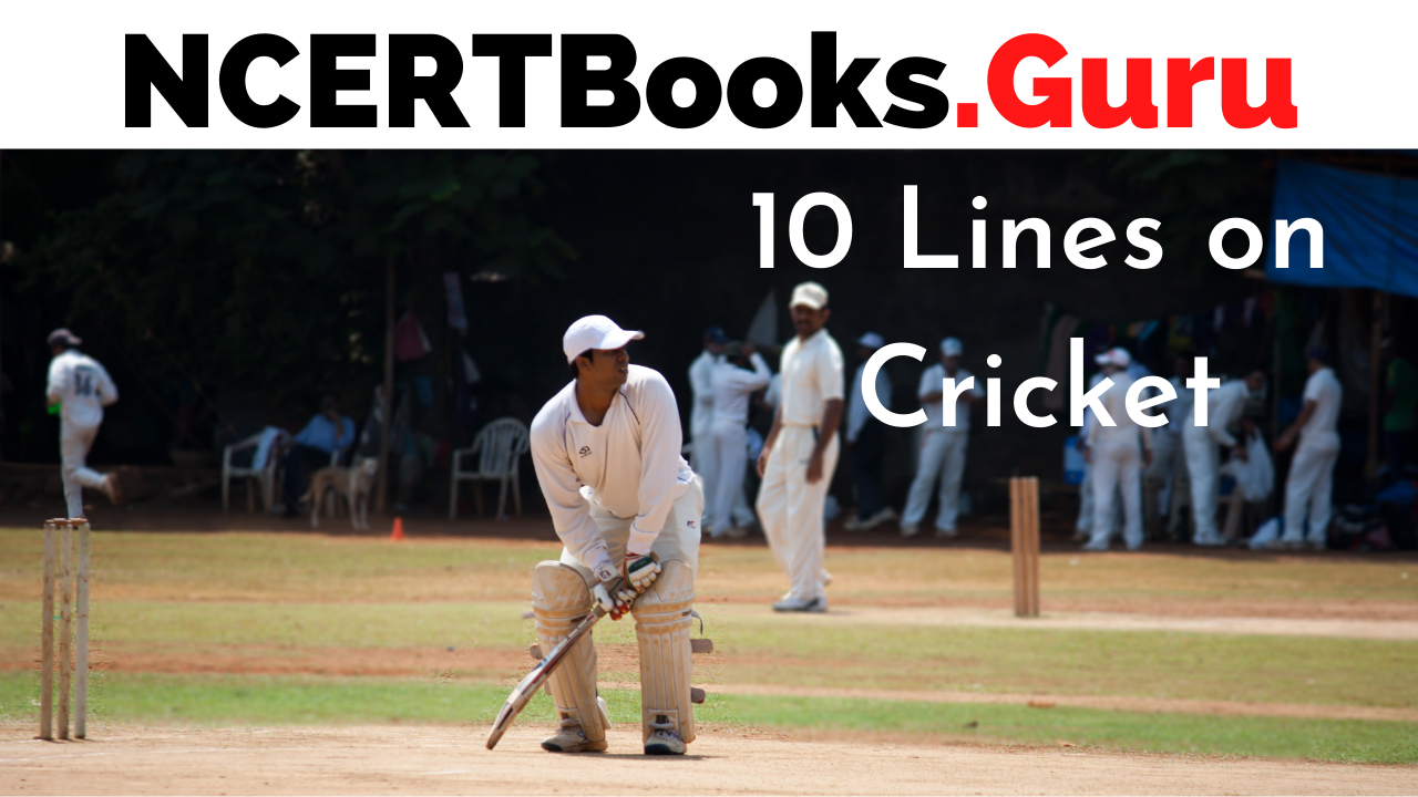 10 Lines on Cricket