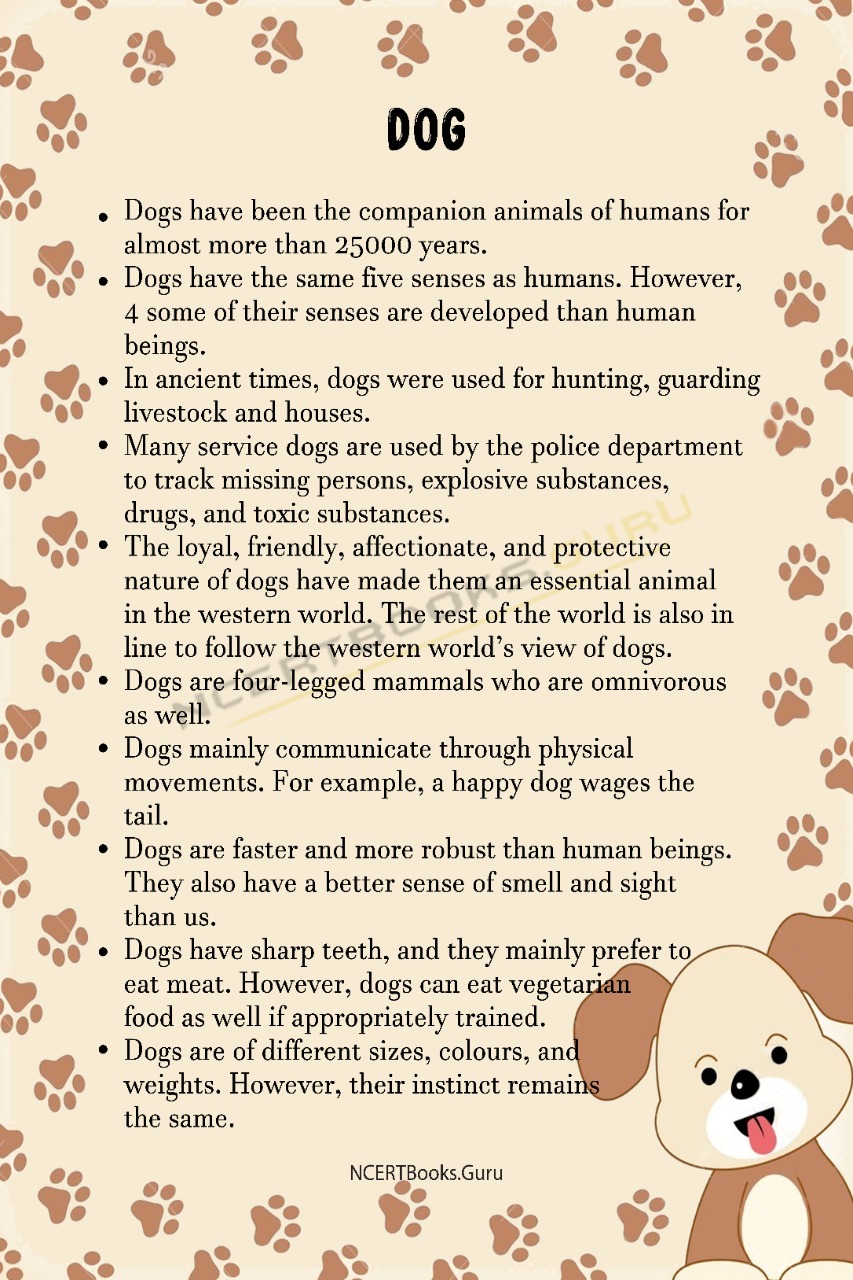 10 Lines on Dog for Students and Children in English - NCERT Books 10 Lines on Dog for Students and Children in English - NCERT Books