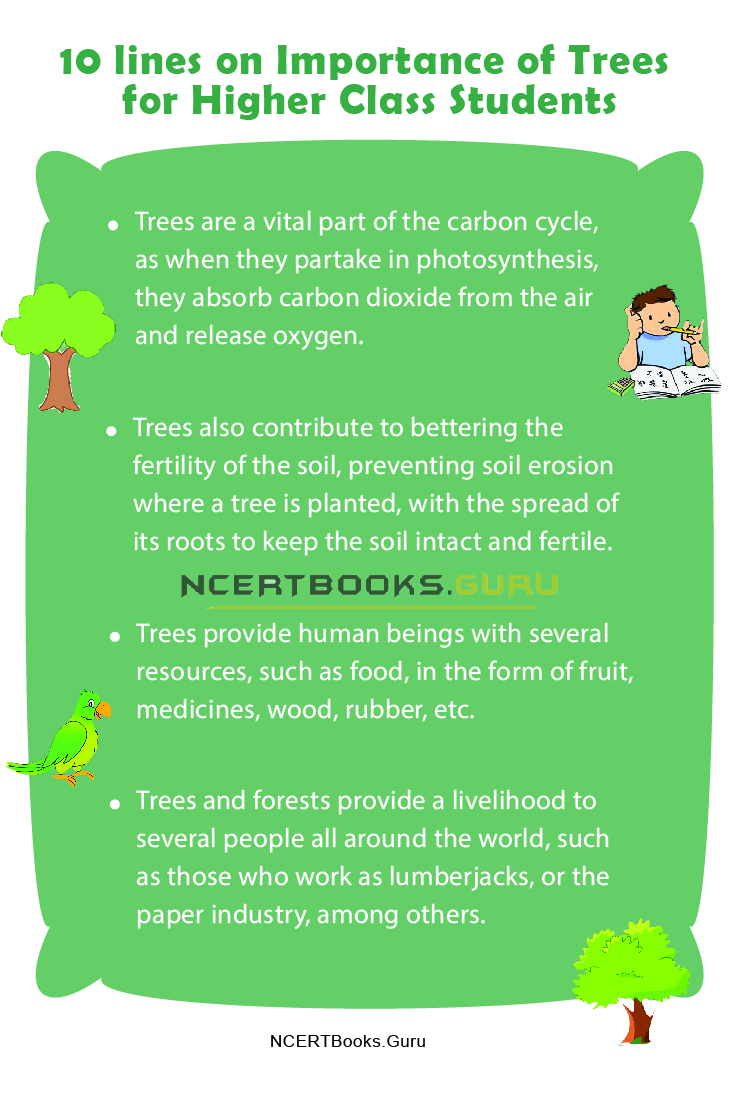 10 Lines on Importance of Trees 2