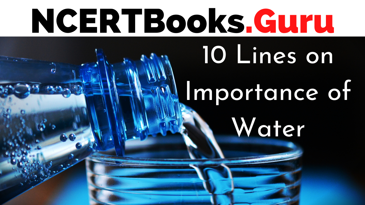 10 Lines on Importance of Water