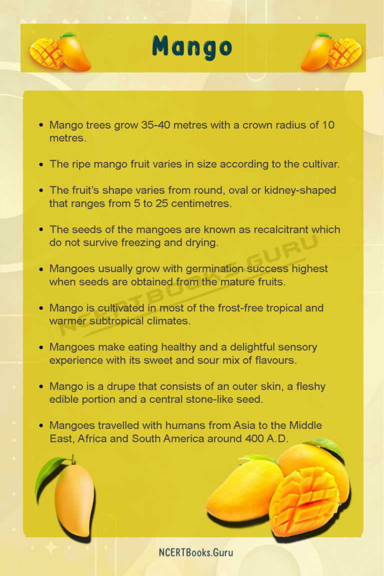 10 Lines on Mango Fruit for Students and Children in English NCERT Books