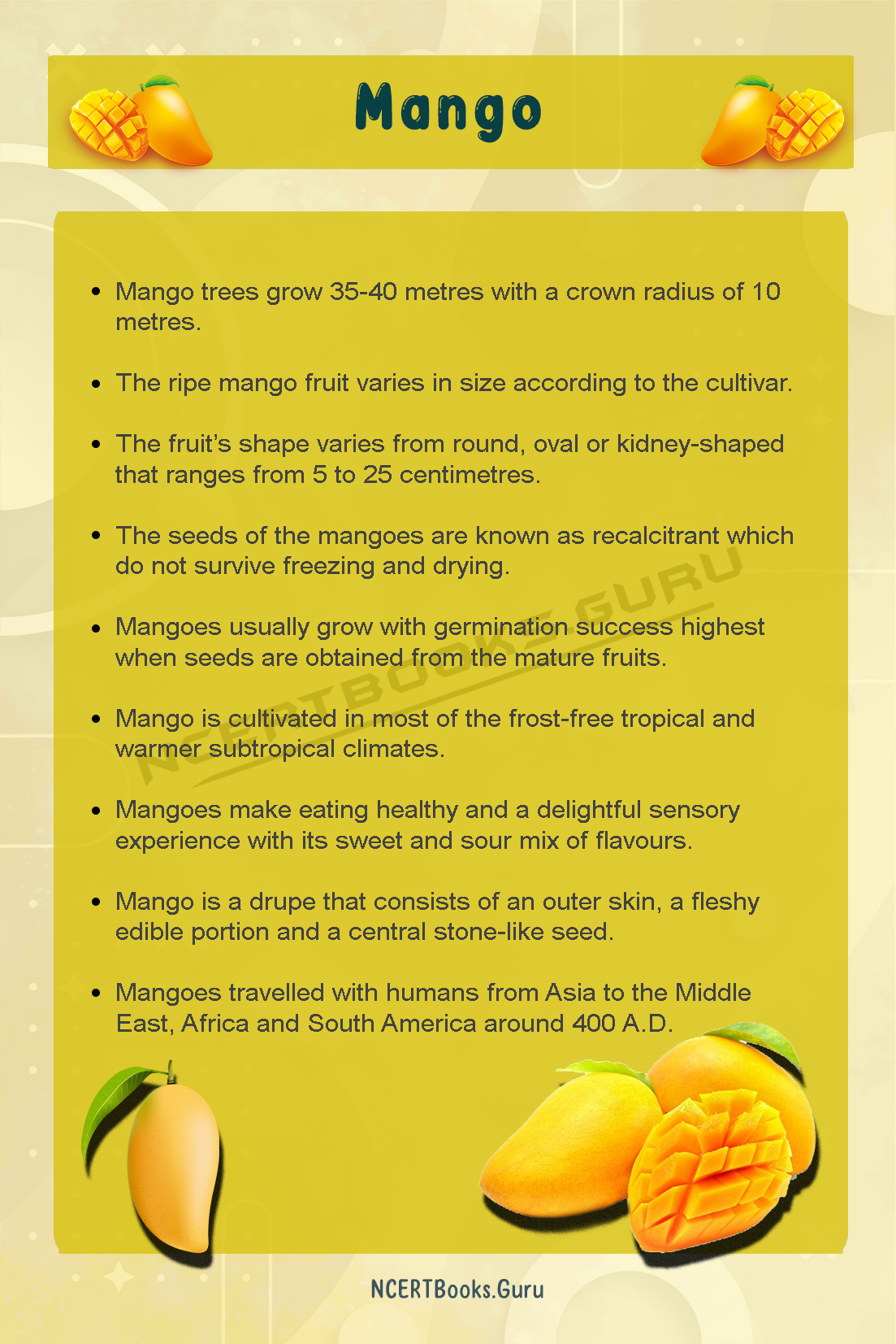 10 Lines on Mango Fruit 2