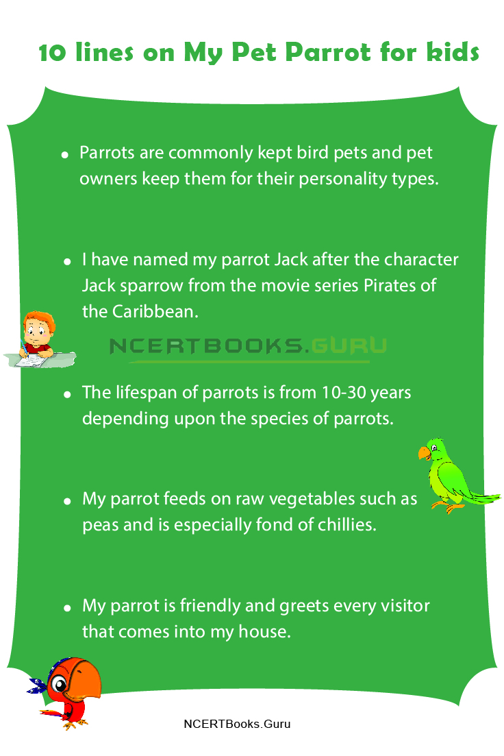 10 Lines on My Pet Parrot for Students and Children in English - NCERT Books 10 Lines on My Pet Parrot for Students and Children in English - NCERT Books