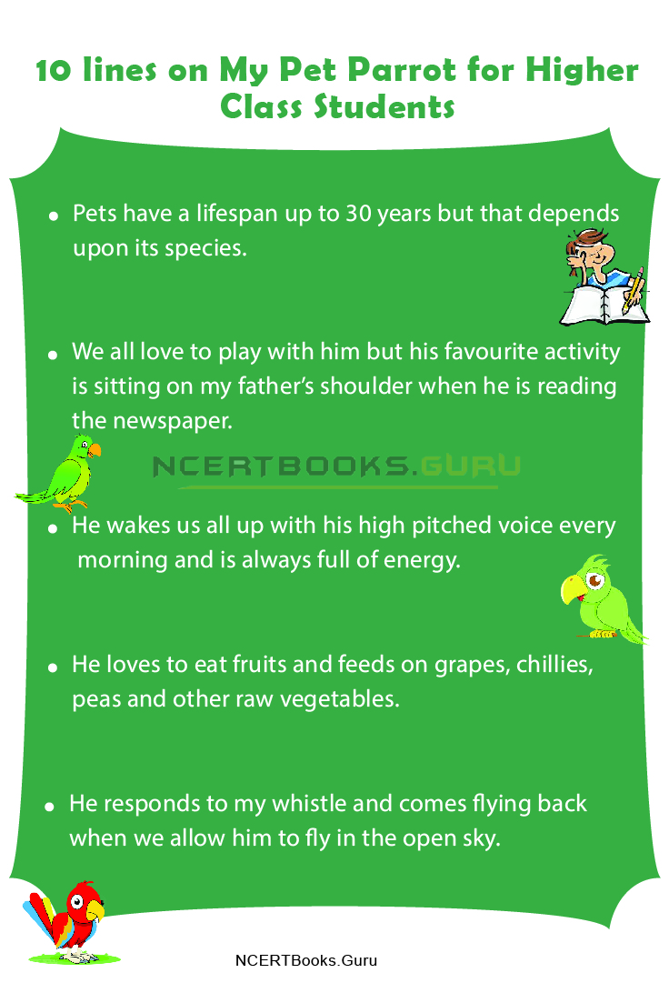 10 Lines on My Pet Parrot for Students and Children in English - NCERT Books 10 Lines on My Pet Parrot for Students and Children in English - NCERT Books