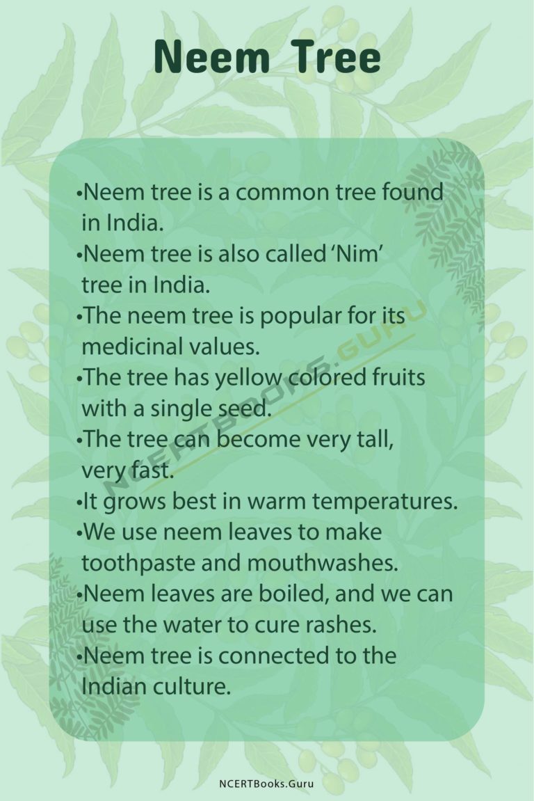 10 Lines on Neem Tree for Students and Children in English NCERT Books