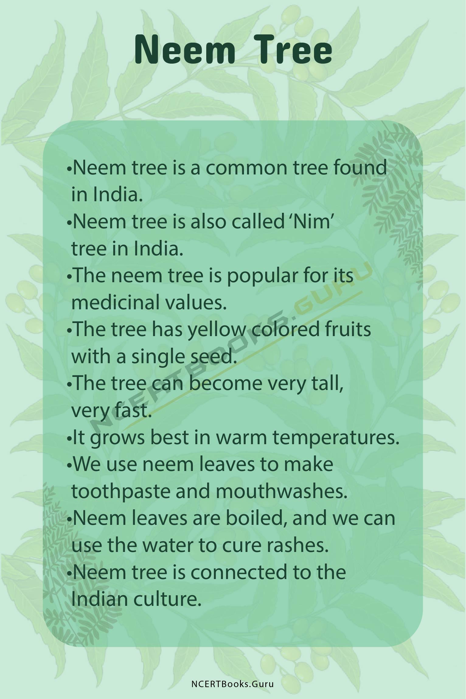 easy essay on neem tree