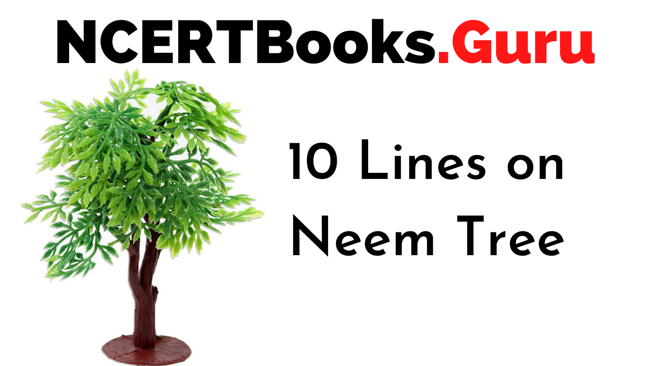 write a short essay on neem tree