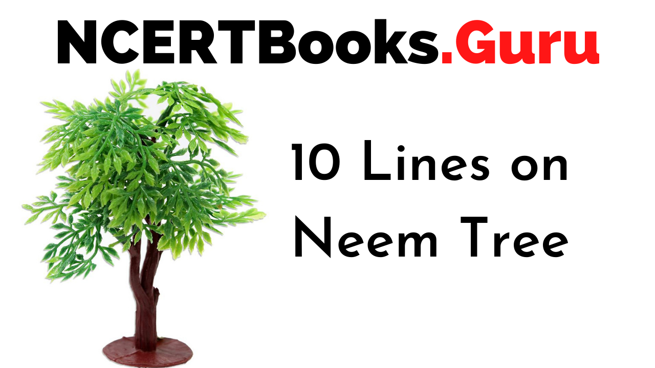 essay on neem tree for class 4