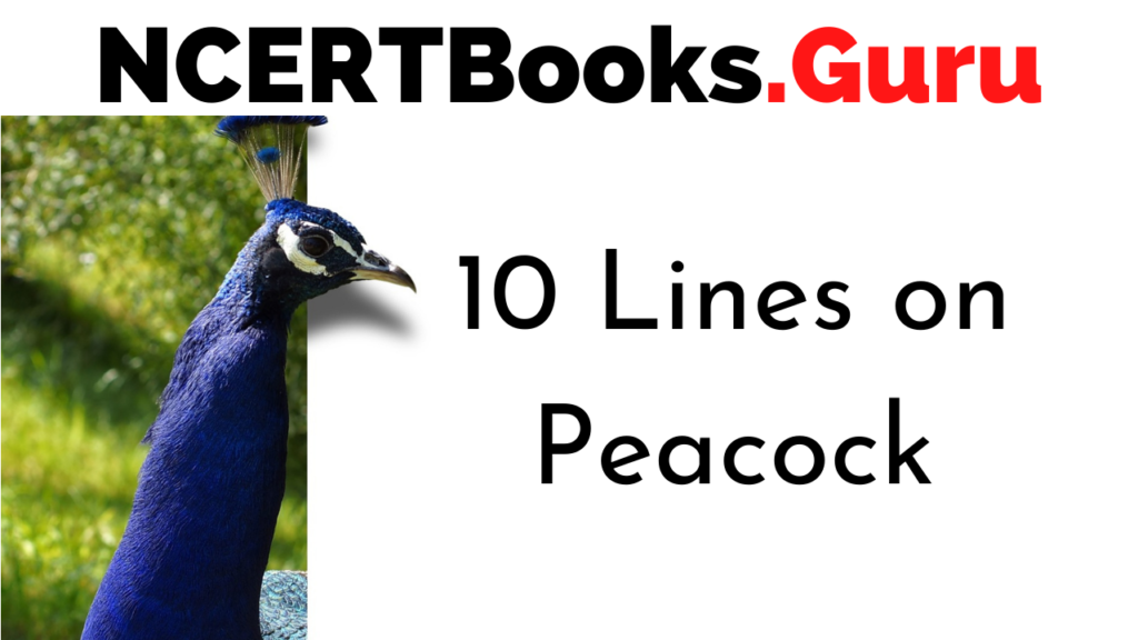 10 Lines on Peacock