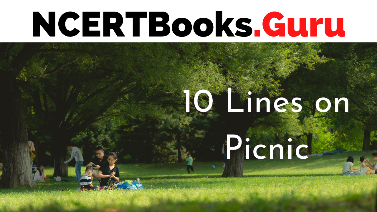 10 Lines on Picnic