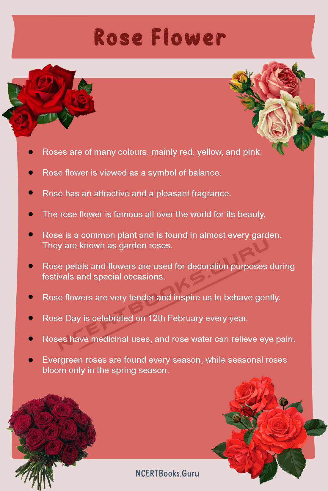 10 Lines on Rose Flower 1