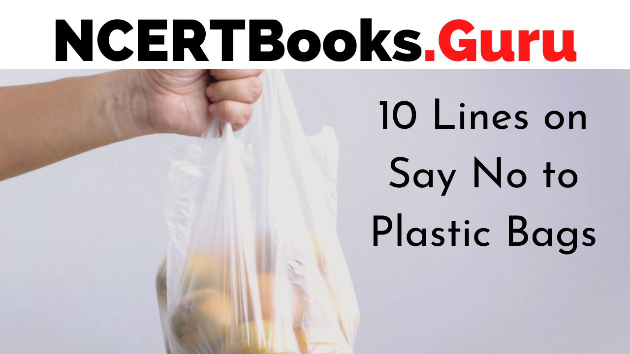 10 Lines on Say No to Plastic Bags