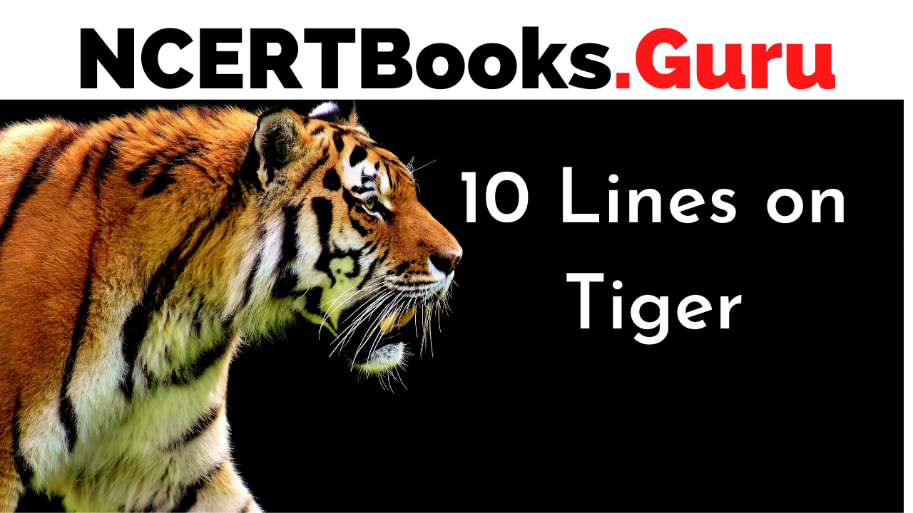 10 Lines on Tiger