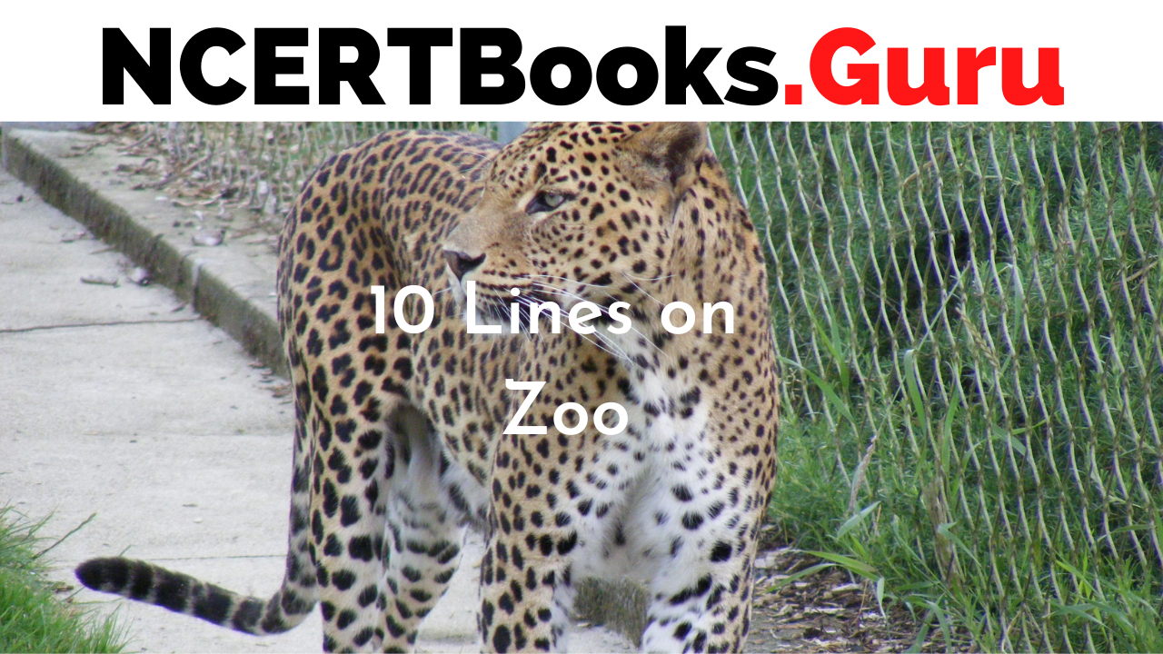 10 Lines on Zoo