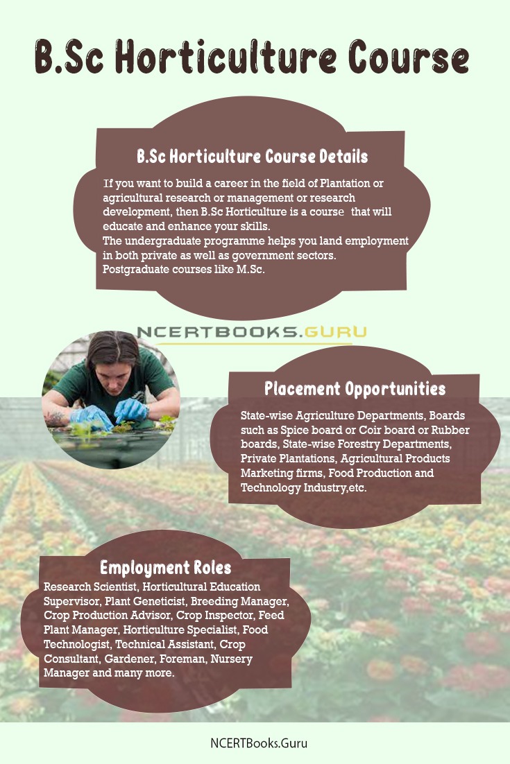 B.Sc Horticulture Course Details