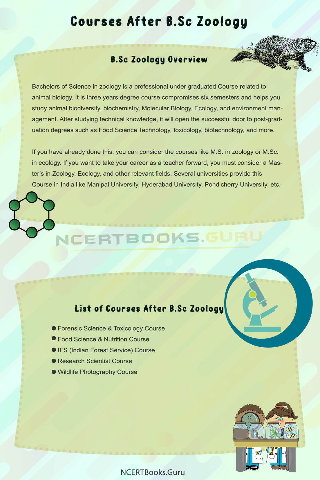 Courses after Zoology - Admission, Eligibility, Career, Jobs, Salary Courses after Zoology - Admission, Eligibility, Career, Jobs, Salary