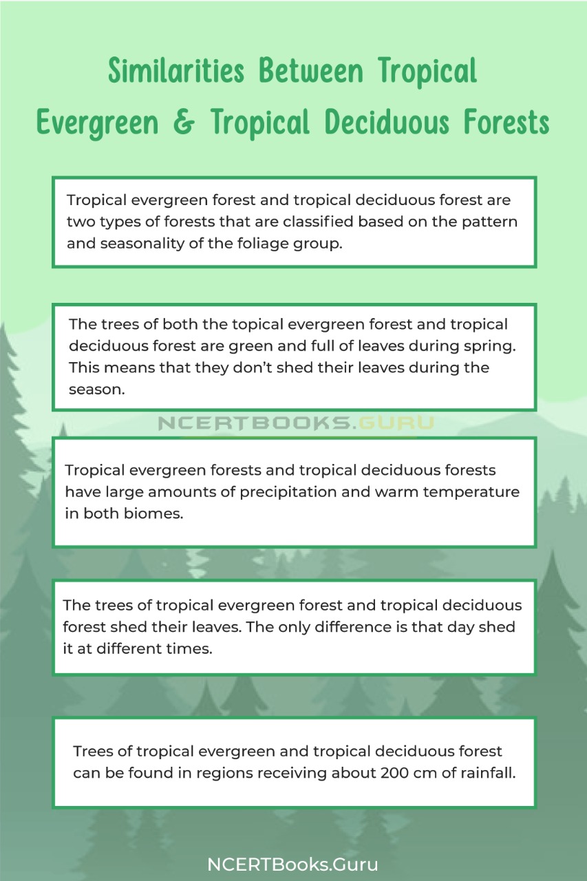 define tropical deciduous forest