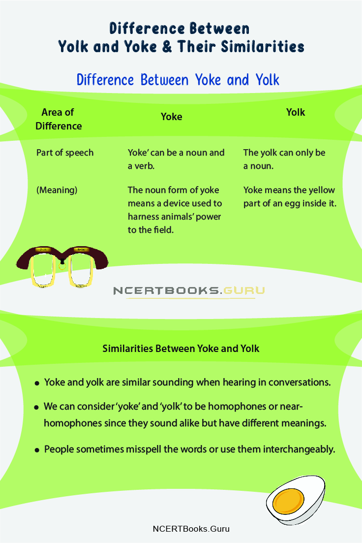 Difference Between Yolk and Yoke 1