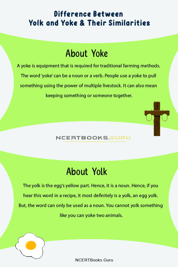 Difference Between Yolk and Yoke 2