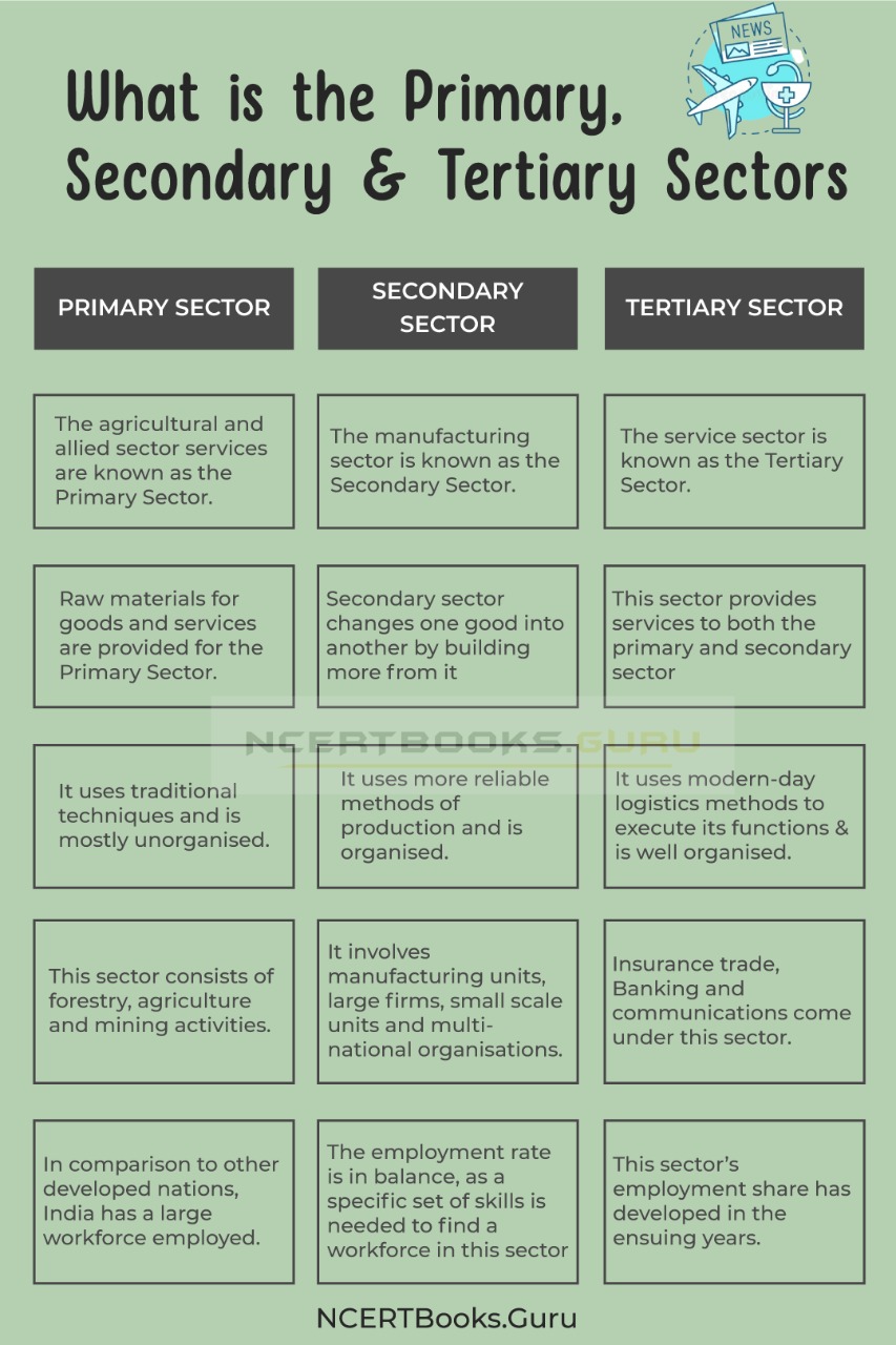 Difference between Primary, Secondary and Tertiary Sectors 1