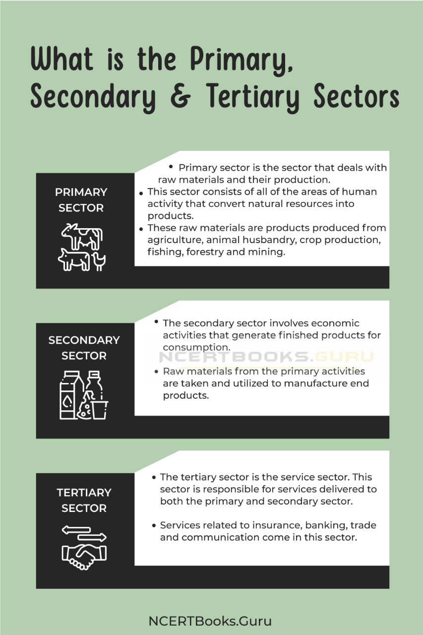 Difference between Primary, Secondary and Tertiary Sectors 2