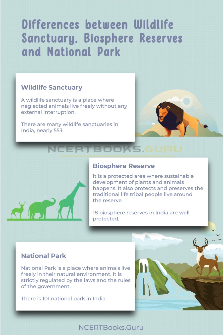 Differences between Wildlife Sanctuary, Biosphere Reserves and National Park 1