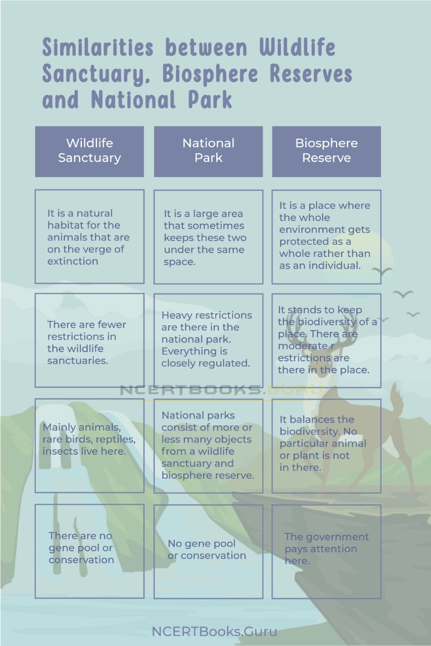Differences between Wildlife Sanctuary, Biosphere Reserves and National  Park & Their Similarities - NCERT Books