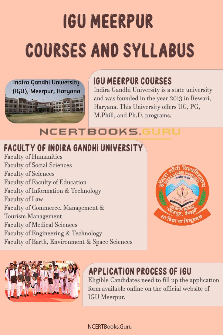 IGU Meerpur courses and syllabus