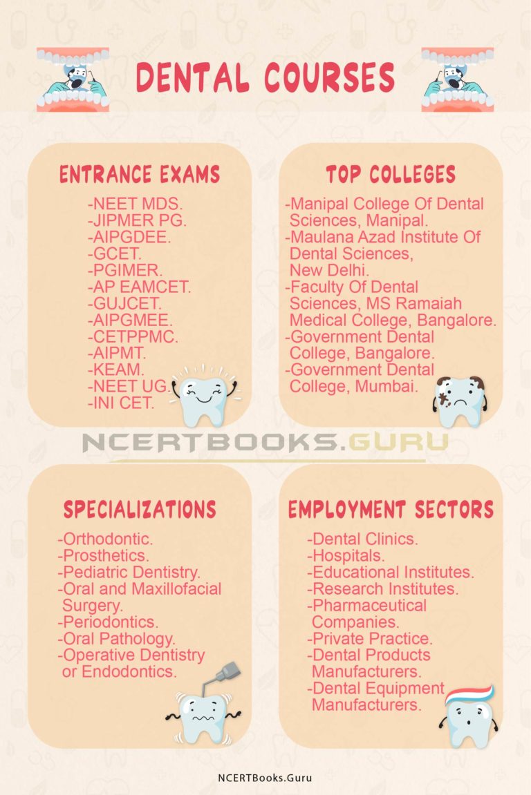 Top Dental Courses in India Admission, Eligibility, Fees, Scope, Jobs