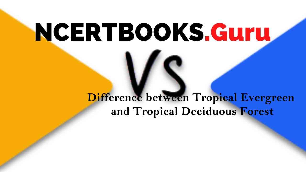 distinguish between tropical evergreen and deciduous forests