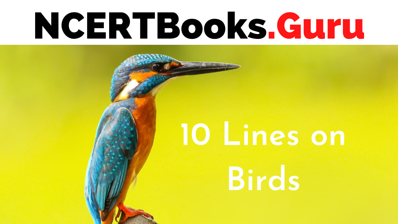 10 Lines on Birds