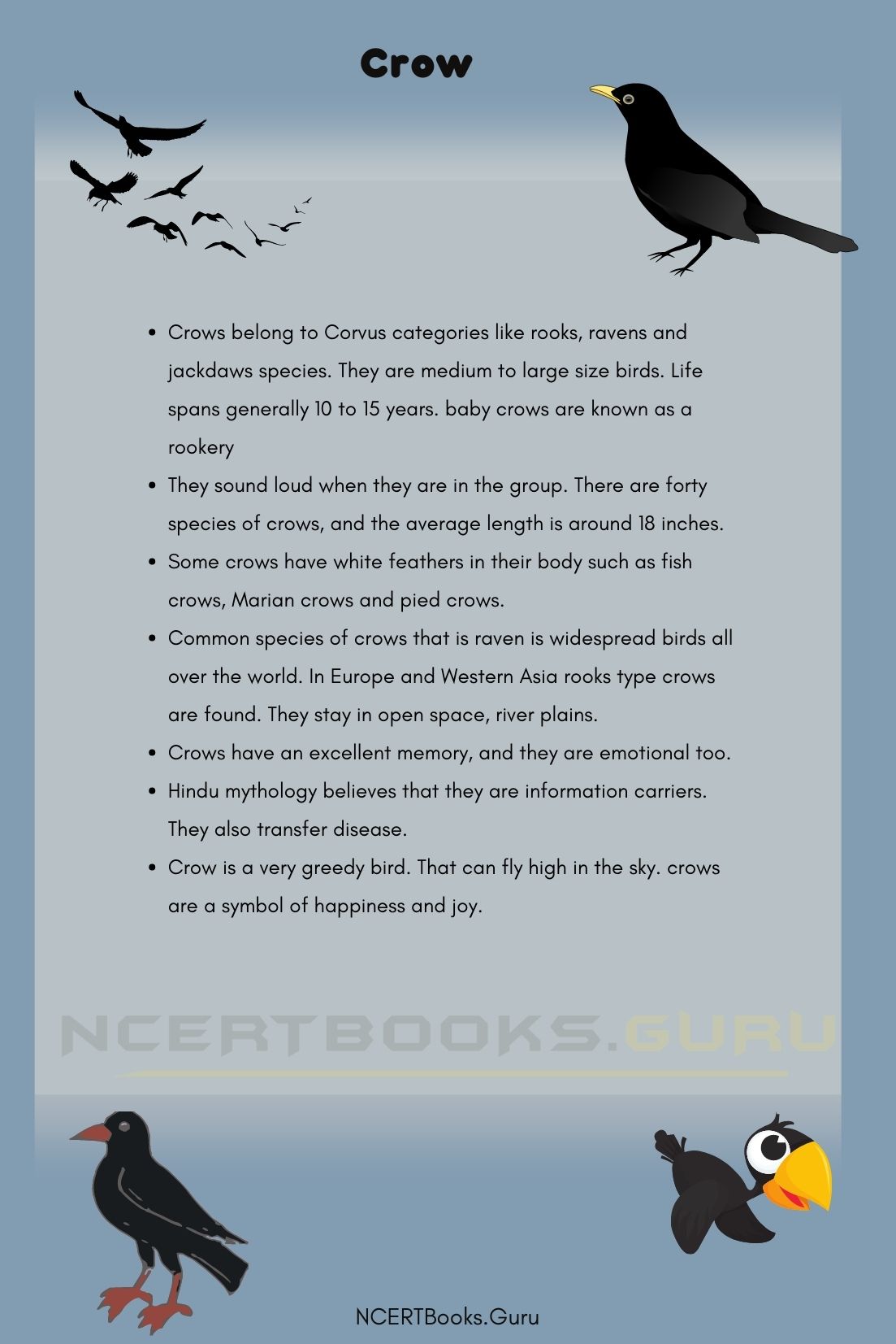 write short essay on crow