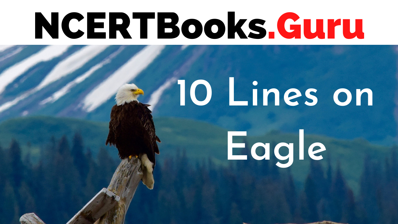10 Lines on Eagle
