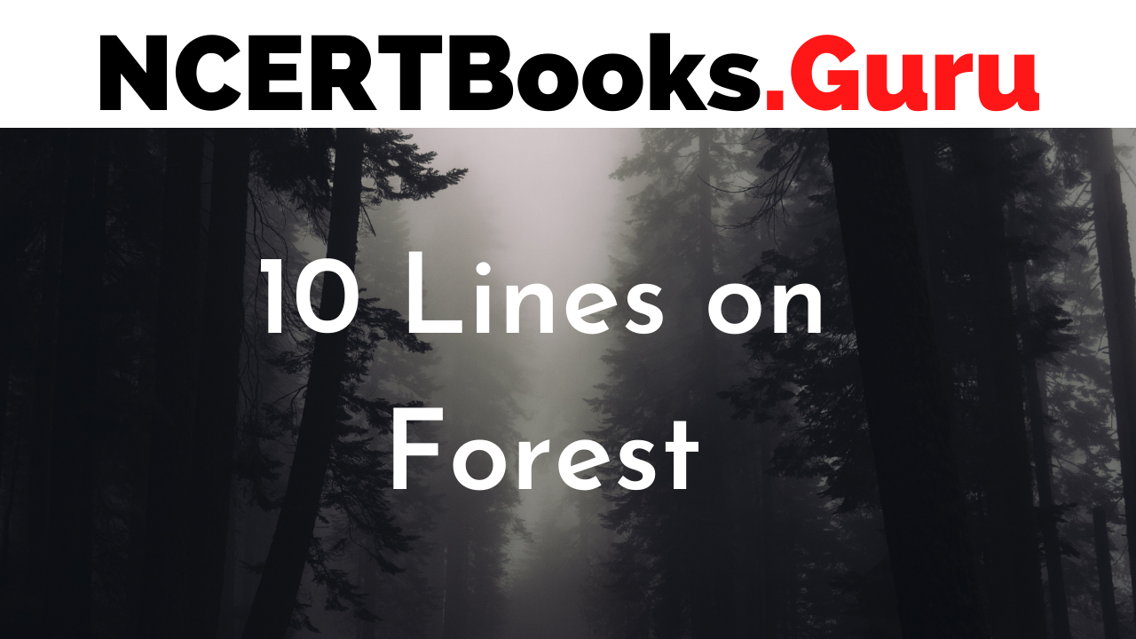 10 Lines on Forest in English