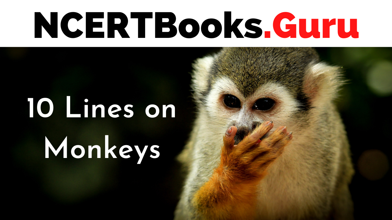 10 Lines on Monkeys