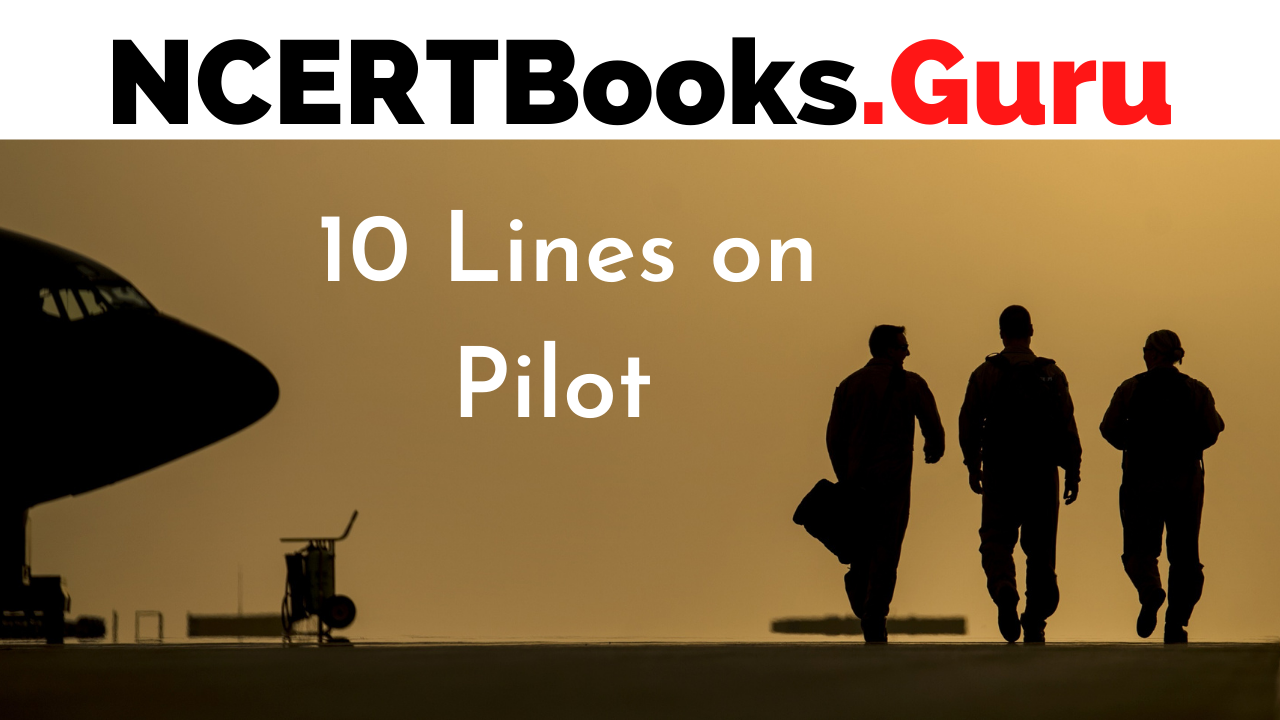 10 Lines on Pilot