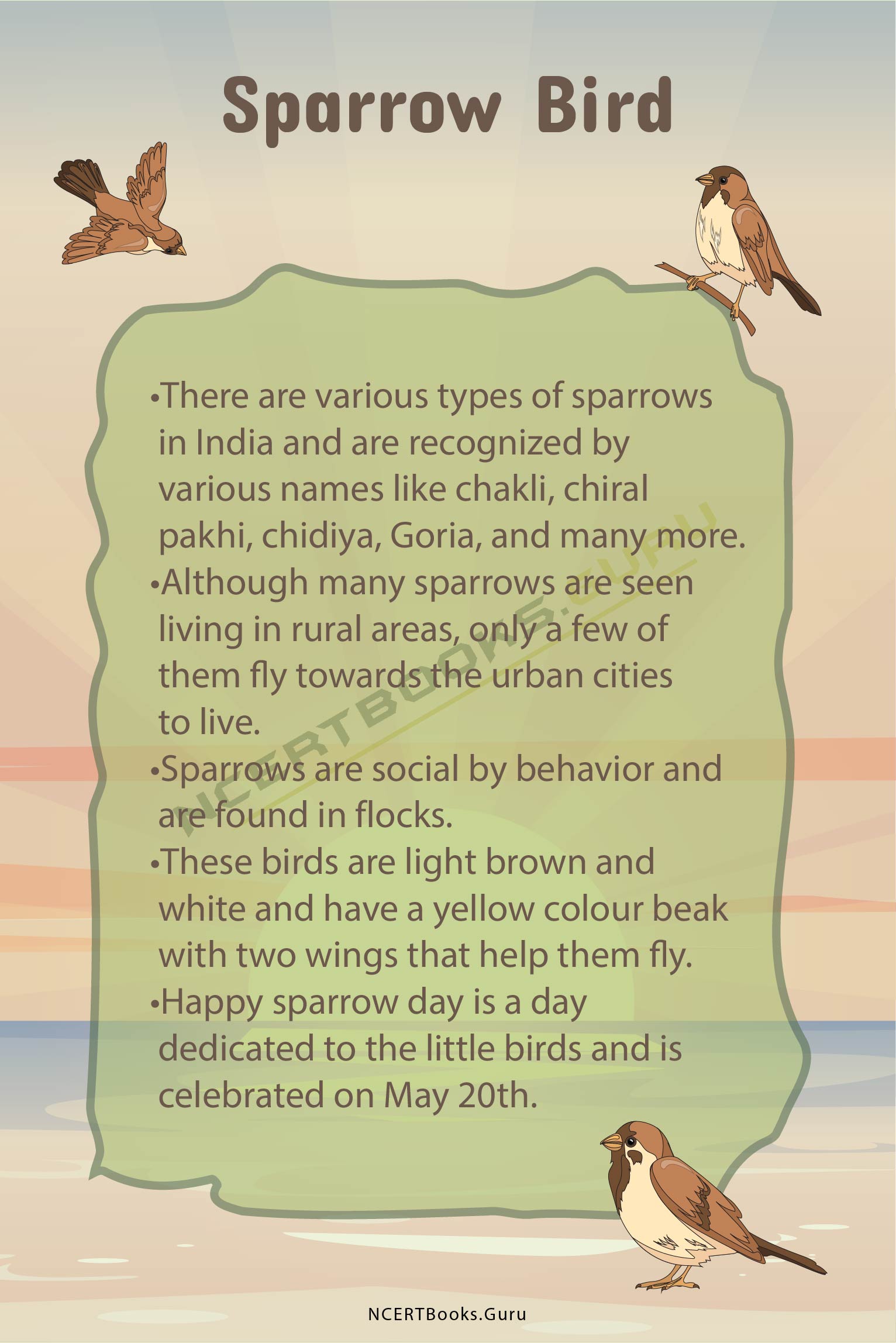 10 Lines on Sparrow Bird 1